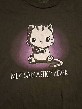 Teeturtle Sarcastic Cat Tshirt 2xl